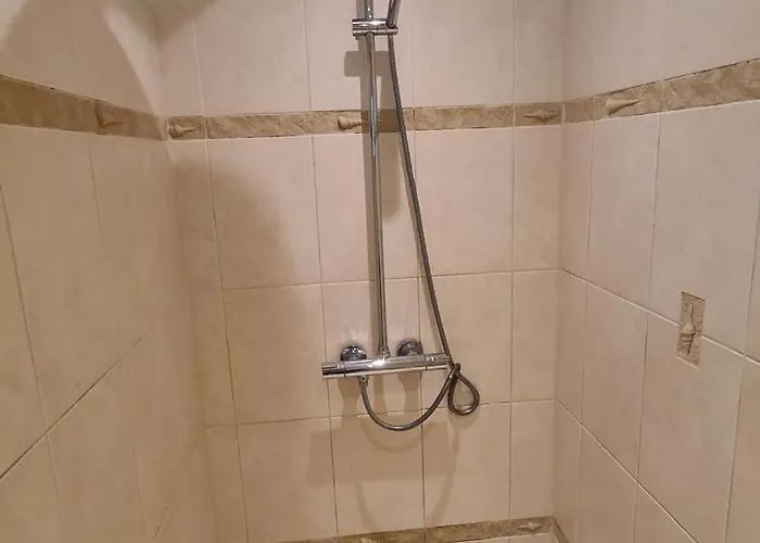 De Witte Schelp * De Koog (Texel)